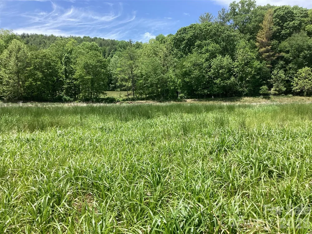 00 Bolens Creek Road Burnsville, NC 28714