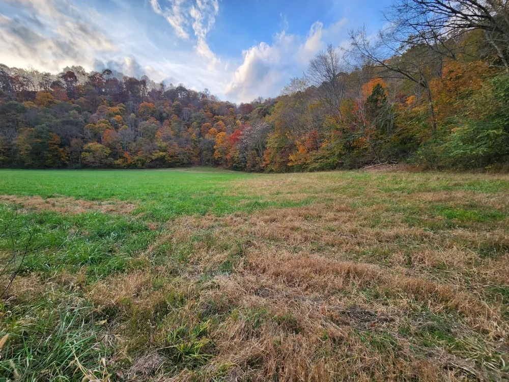 0 Pine Lick Rd Whitleyville, TN 38588