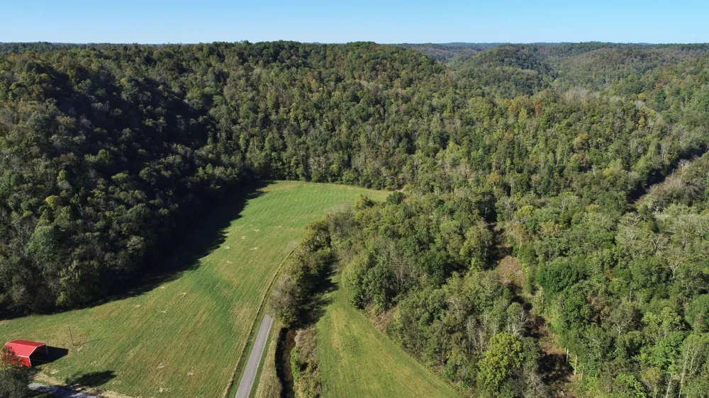 0 Pine Lick Rd Whitleyville, TN 38588