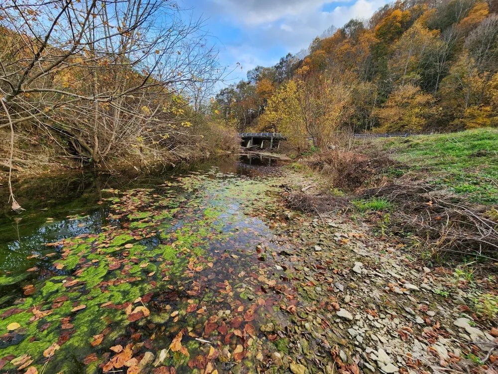 0 Pine Lick Rd Whitleyville, TN 38588