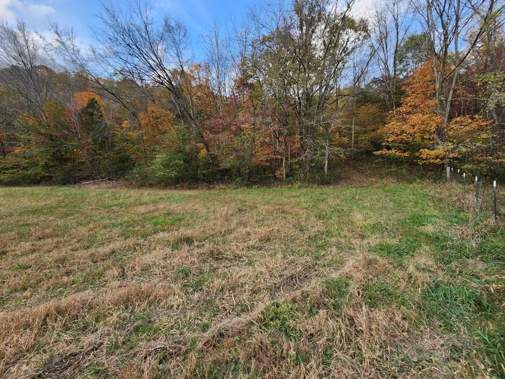 0 Pine Lick Rd Whitleyville, TN 38588