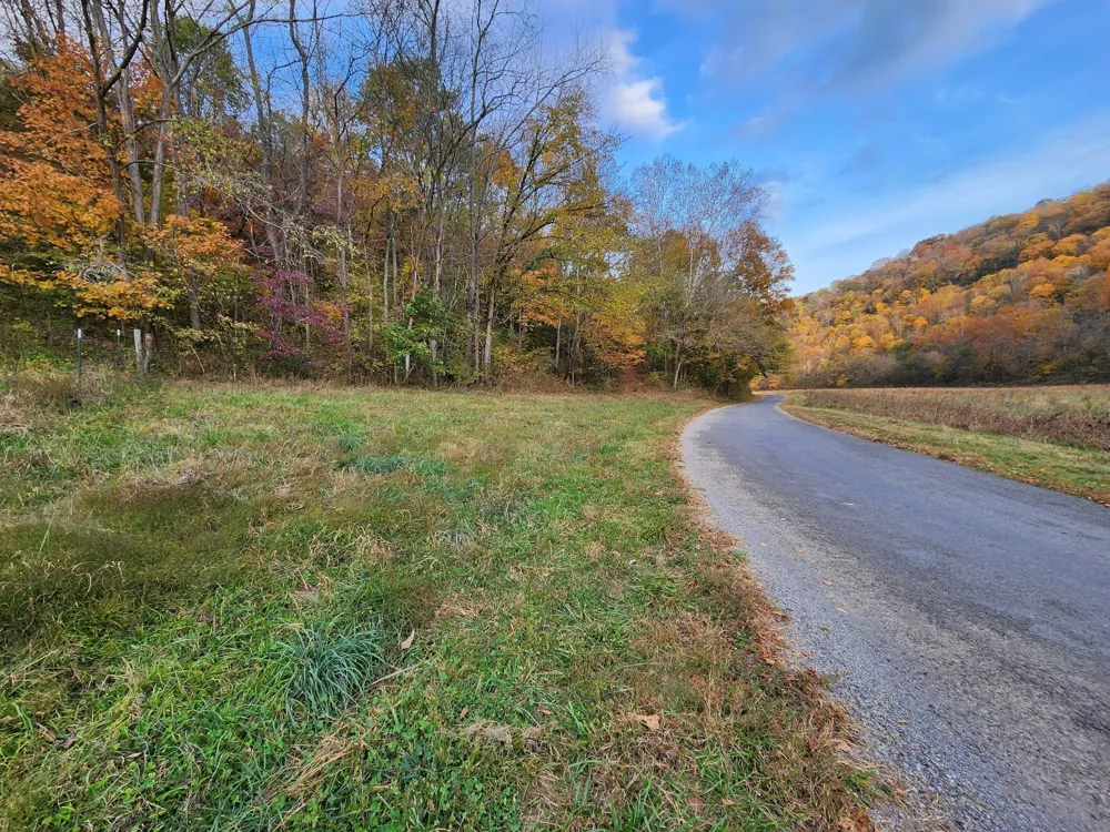 0 Pine Lick Rd Whitleyville, TN 38588