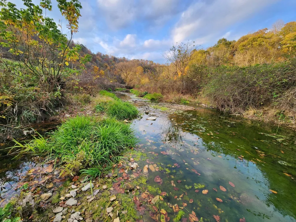 0 Pine Lick Rd Whitleyville, TN 38588