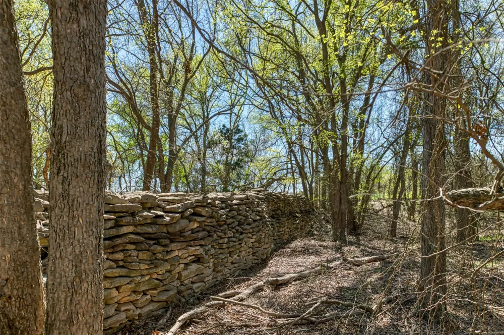 1208 Private Road 1399 Dublin, TX 76446