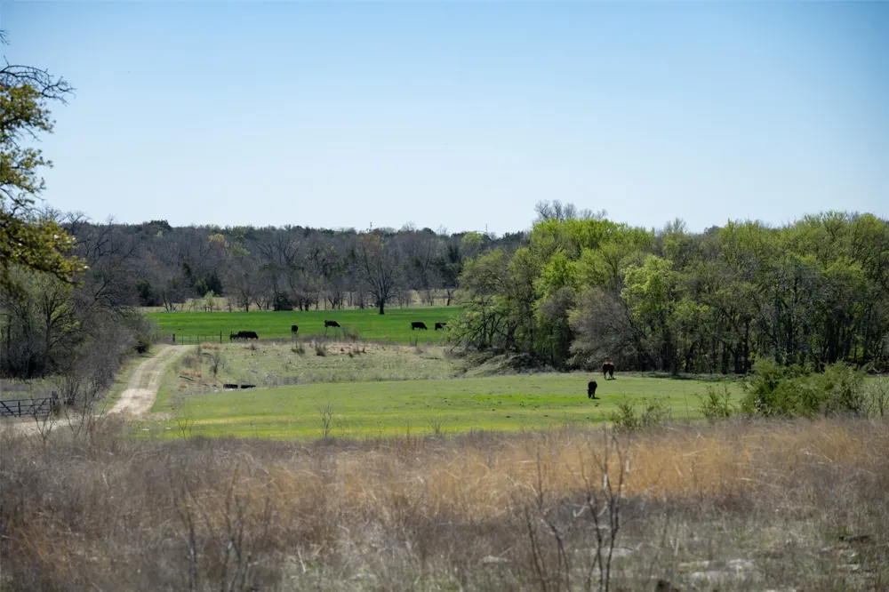1208 Private Road 1399 Dublin, TX 76446