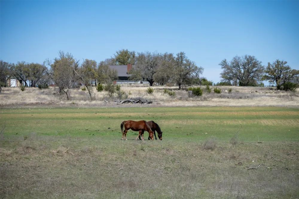 1208 Private Road 1399 Dublin, TX 76446