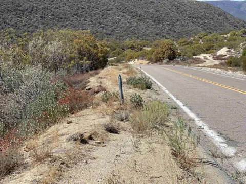 Chihuahua Valley Road