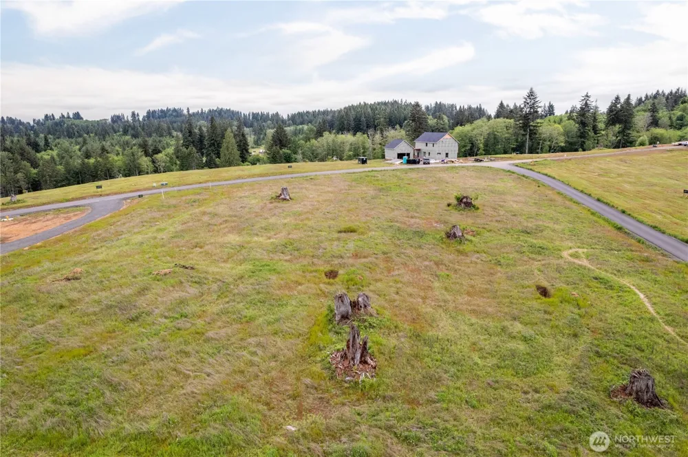 214 Ash Mountain Drive Castle Rock, WA 98611