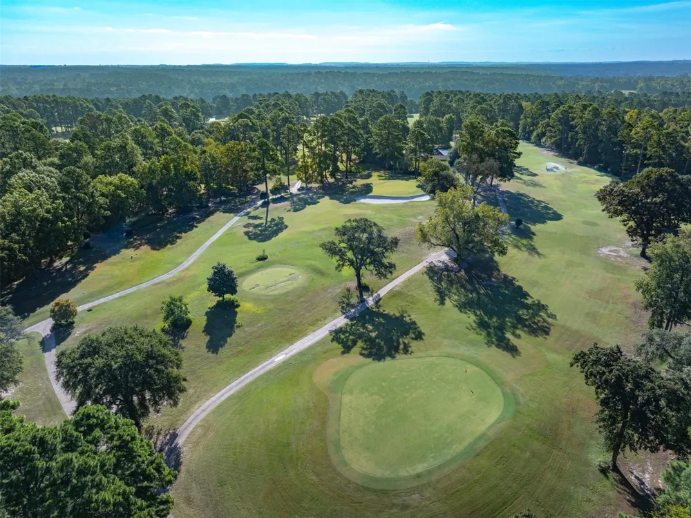 442 Greenbriar Trail Holly Lake Ranch, TX 75765