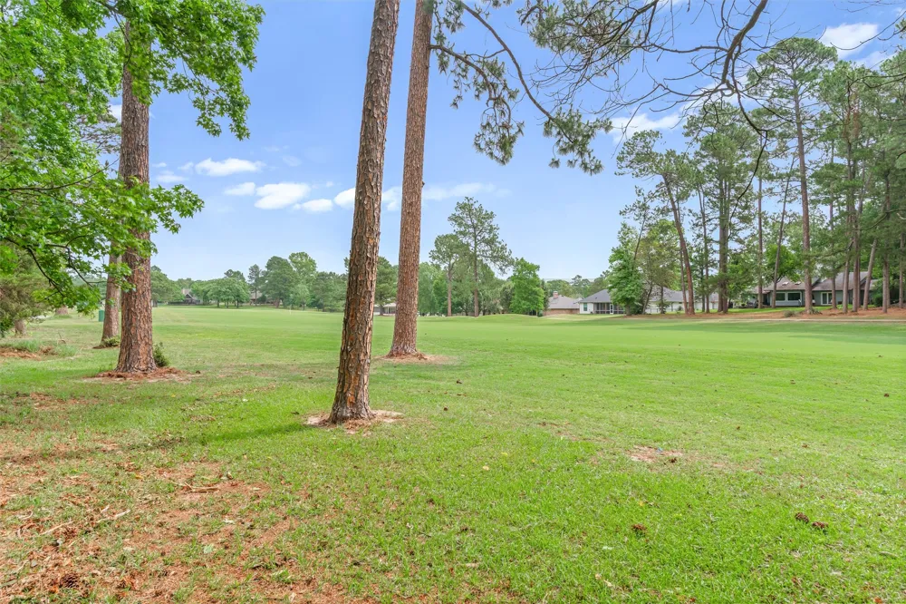 442 Greenbriar Trail Holly Lake Ranch, TX 75765