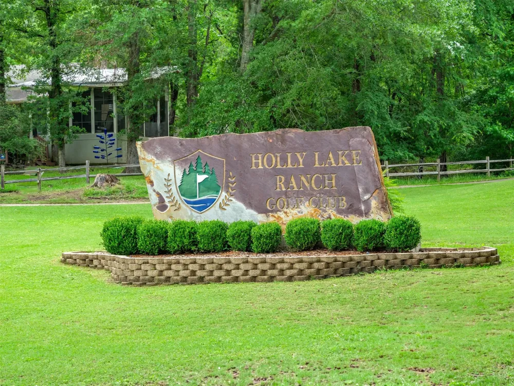 442 Greenbriar Trail Holly Lake Ranch, TX 75765