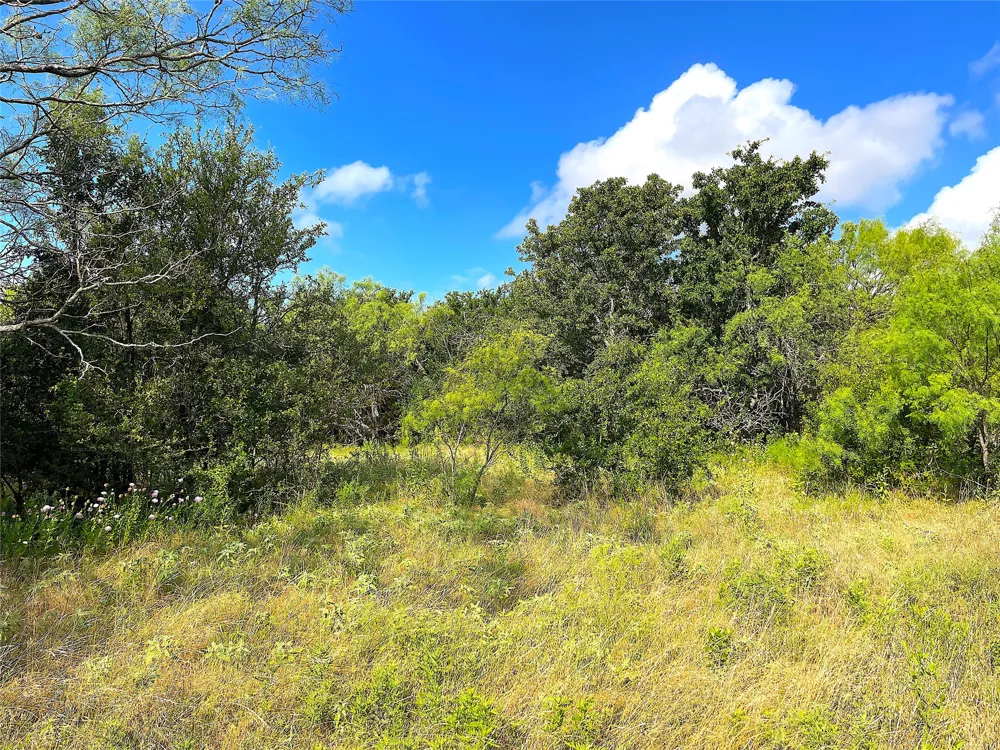 11020 Hwy 281 Whitt, TX 76490