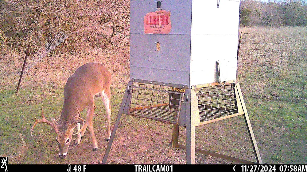 11020 Hwy 281 Whitt, TX 76490