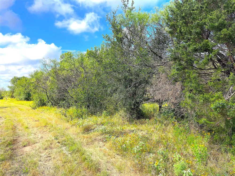 11020 Hwy 281 Whitt, TX 76490