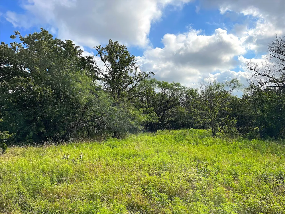 11020 Hwy 281 Whitt, TX 76490