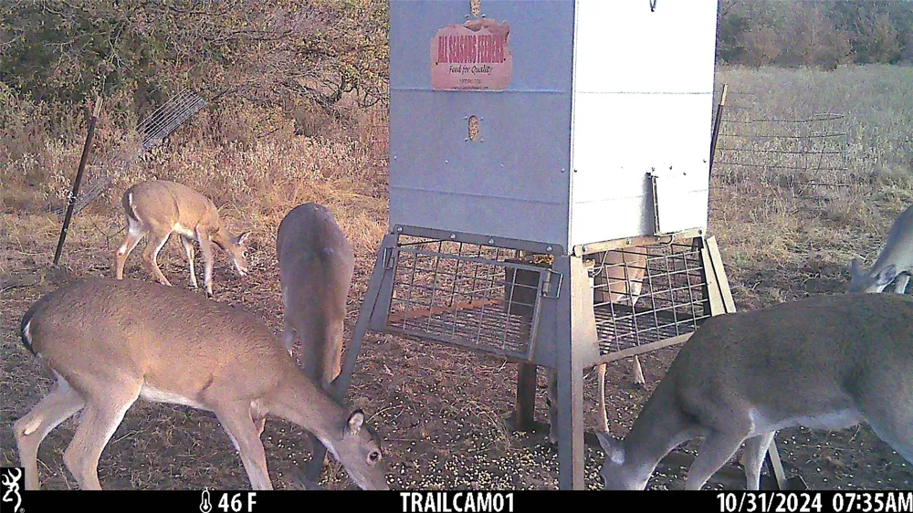 11020 Hwy 281 Whitt, TX 76490