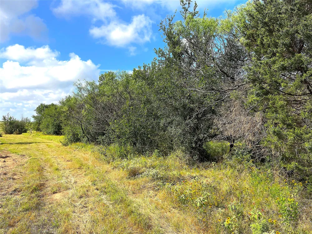 11020 Hwy 281 Whitt, TX 76490