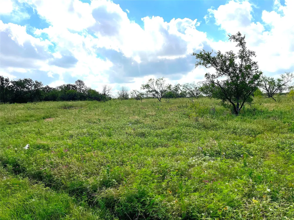 11020 Hwy 281 Whitt, TX 76490