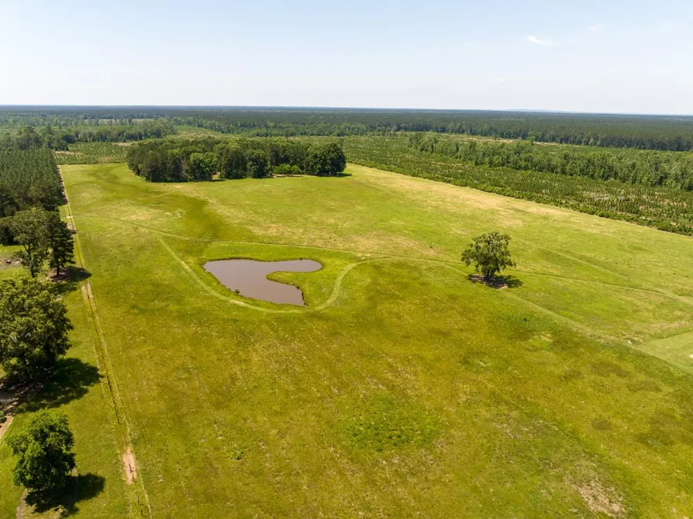 33791 Fm 787 Votaw, TX 77376