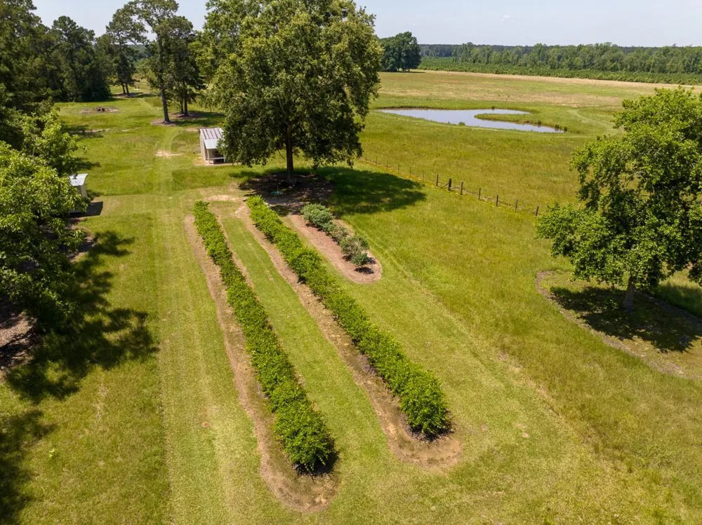 33791 Fm 787 Votaw, TX 77376