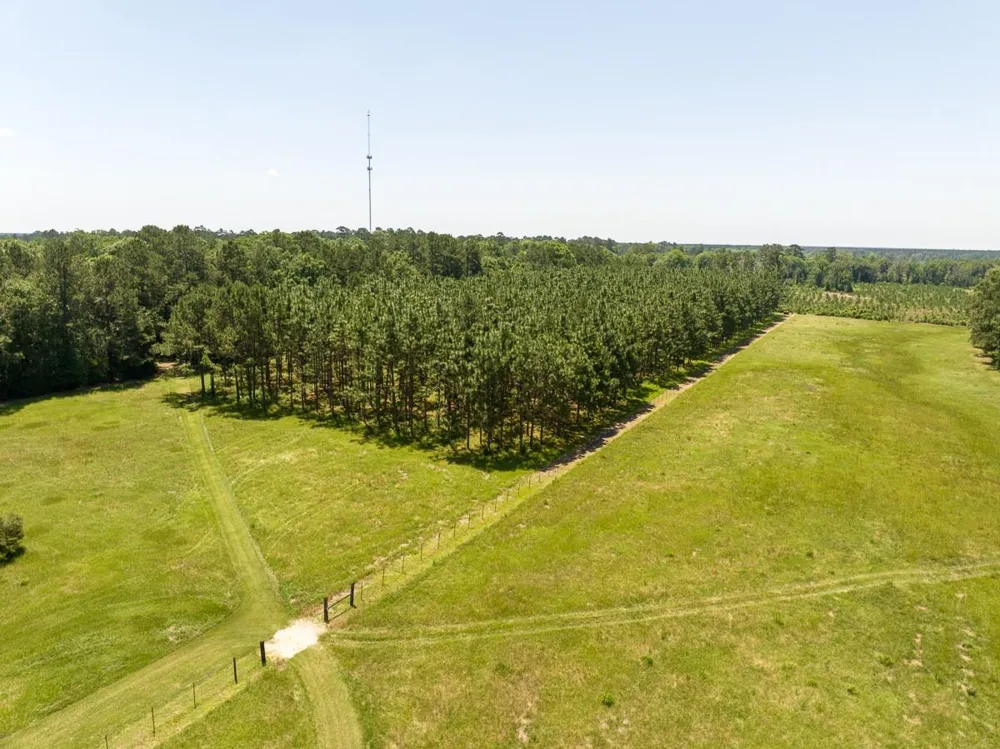 33791 Fm 787 Votaw, TX 77376