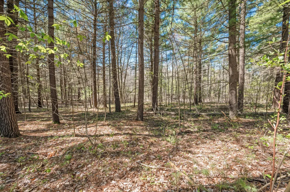 8.5 Acre V/L Three Mile Road #Parcels A-L Hersey, MI 49639