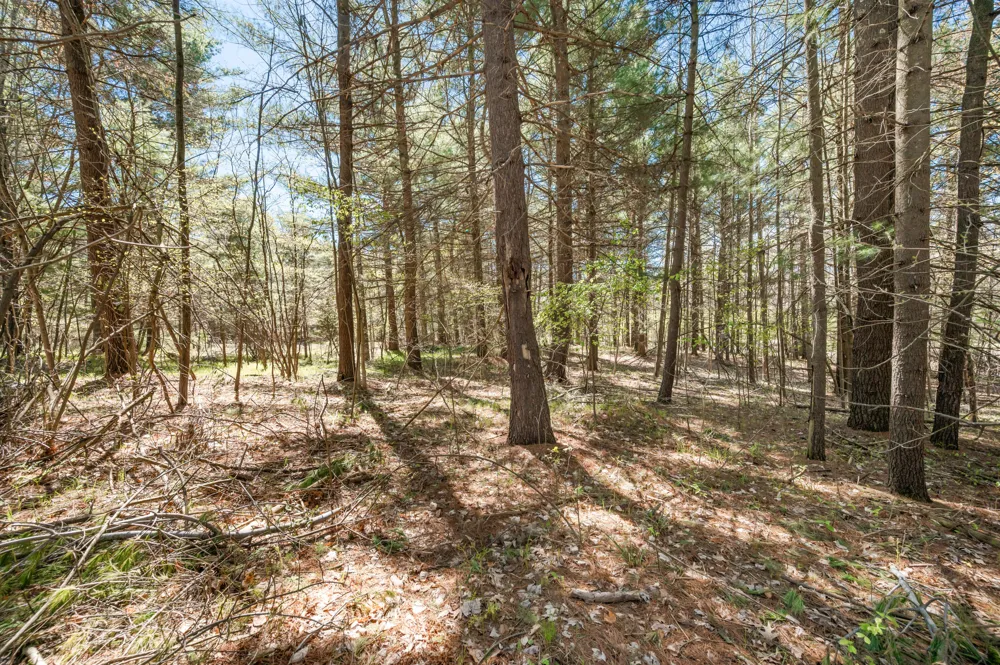 8.5 Acre V/L Three Mile Road #Parcels A-L Hersey, MI 49639