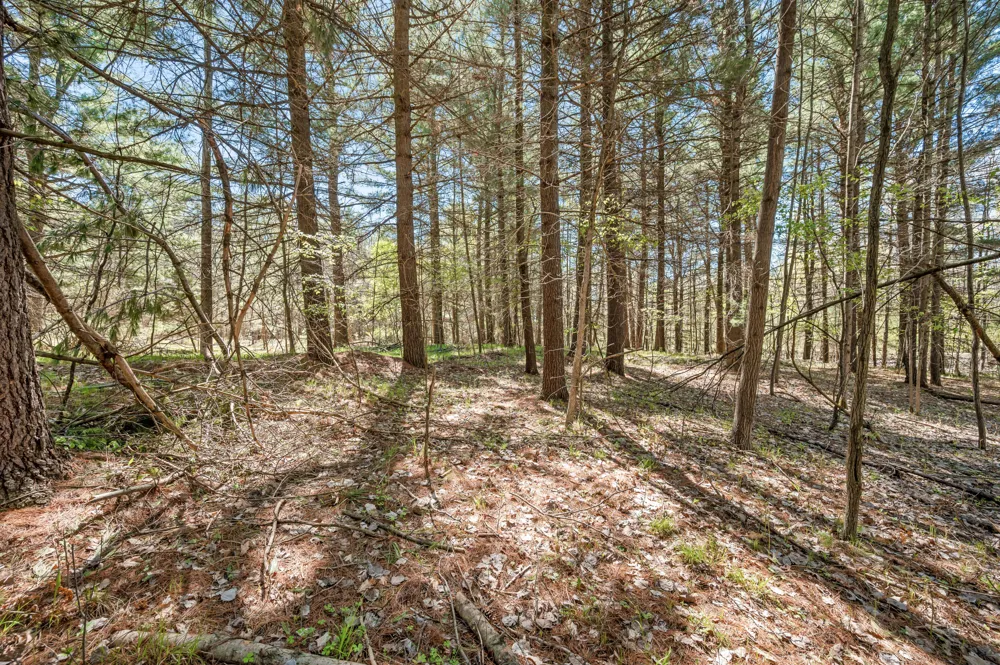 8.5 Acre V/L Three Mile Road #Parcels A-L Hersey, MI 49639