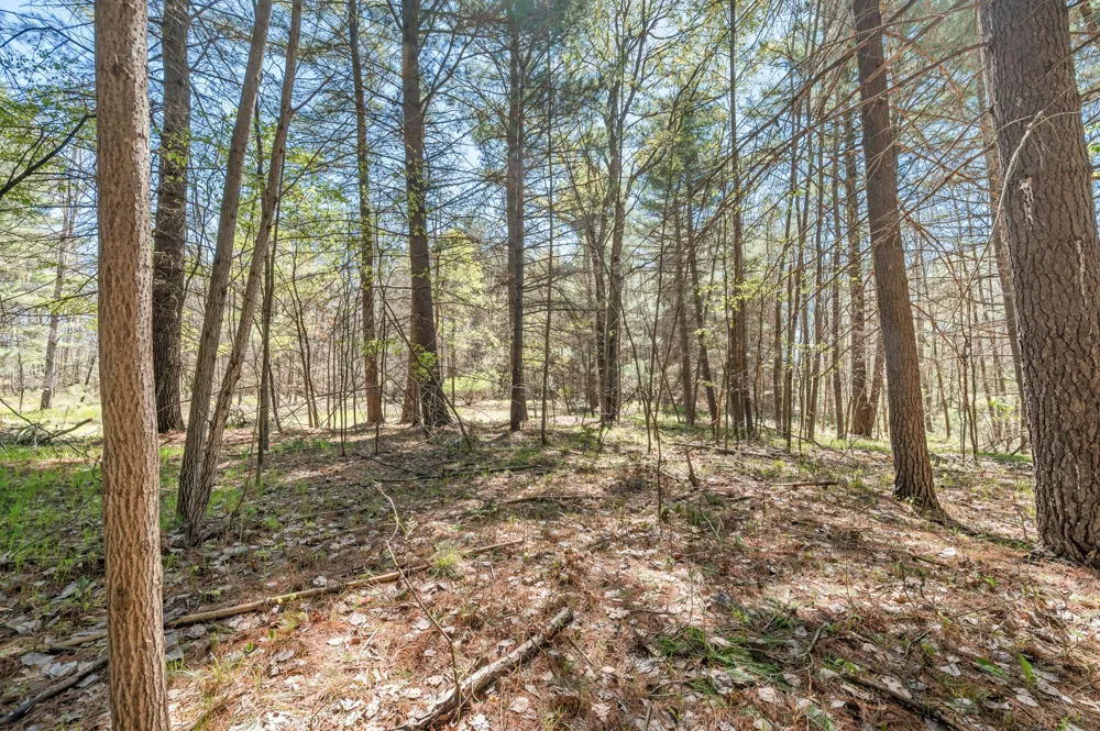 8.5 Acre V/L Three Mile Road #Parcels A-L Hersey, MI 49639