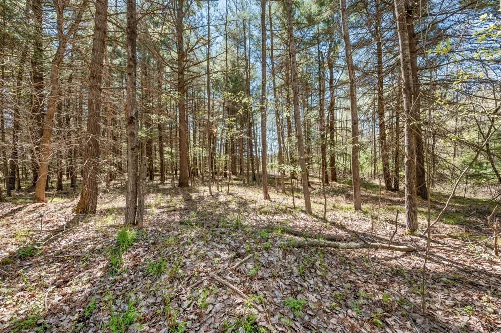 8.5 Acre V/L Three Mile Road #Parcels A-L Hersey, MI 49639