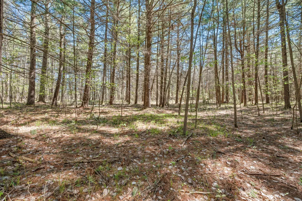 8.5 Acre V/L Three Mile Road #Parcels A-L Hersey, MI 49639