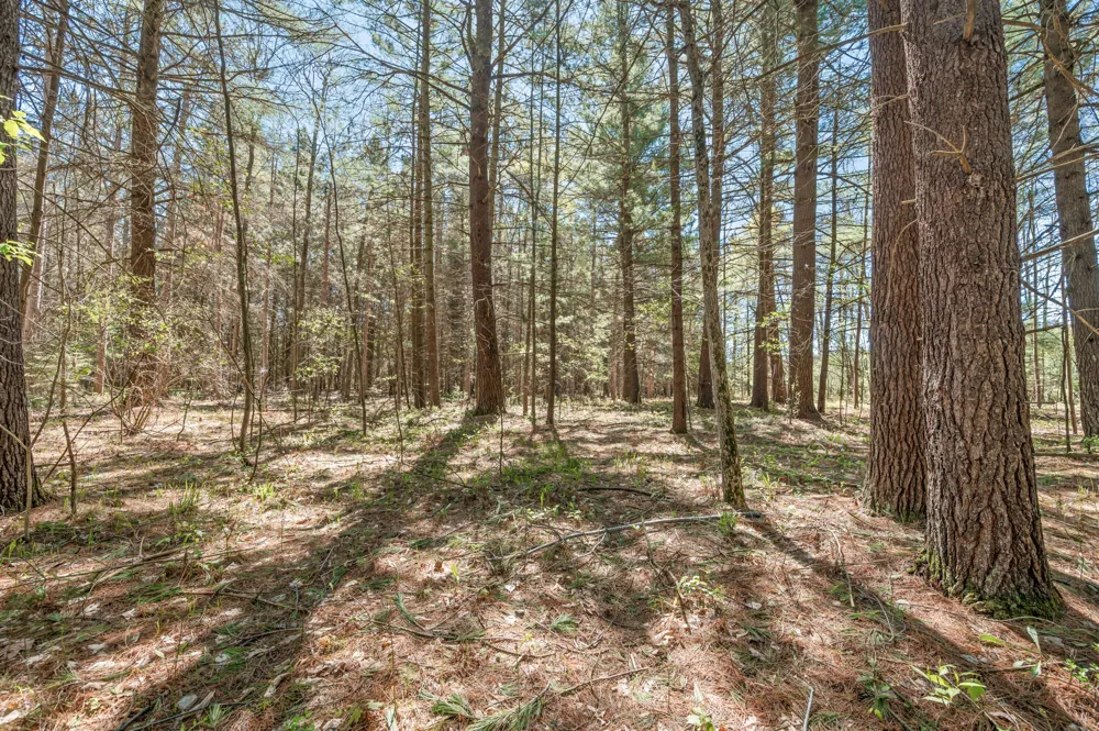8.5 Acre V/L Three Mile Road #Parcels A-L Hersey, MI 49639