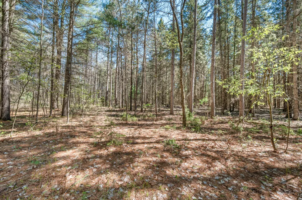 8.5 Acre V/L Three Mile Road #Parcels A-L Hersey, MI 49639