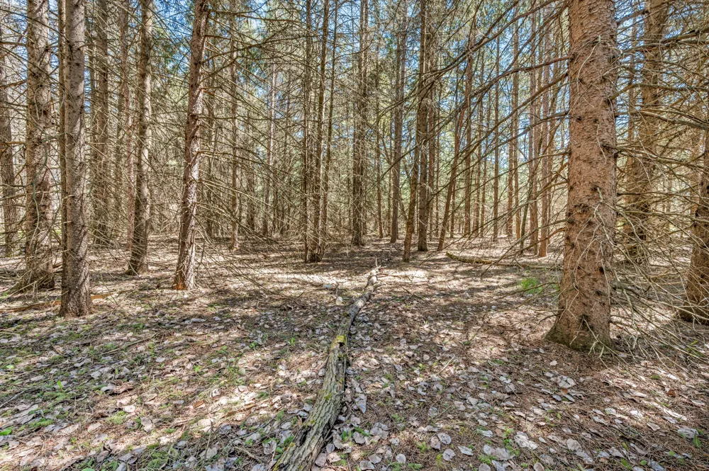 8.5 Acre V/L Three Mile Road #Parcels A-L Hersey, MI 49639