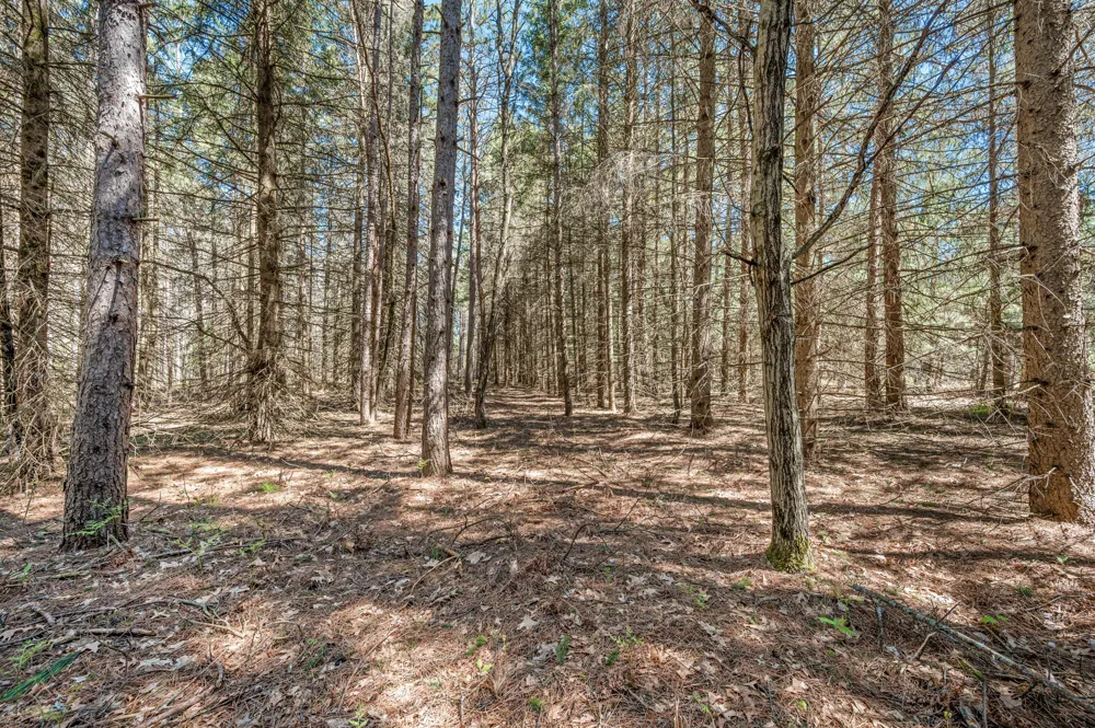 8.5 Acre V/L Three Mile Road #Parcels A-L Hersey, MI 49639