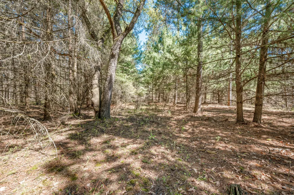 8.5 Acre V/L Three Mile Road #Parcels A-L Hersey, MI 49639