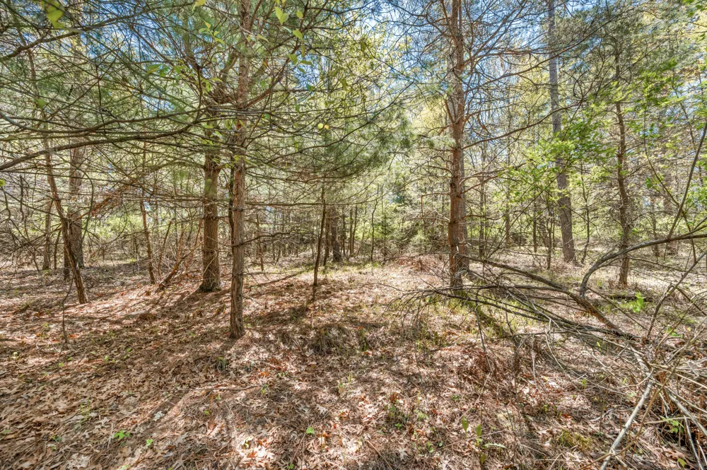 8.5 Acre V/L Three Mile Road #Parcels A-L Hersey, MI 49639