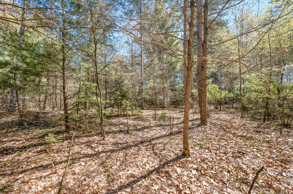 8.5 Acre V/L Three Mile Road #Parcels A-L Hersey, MI 49639