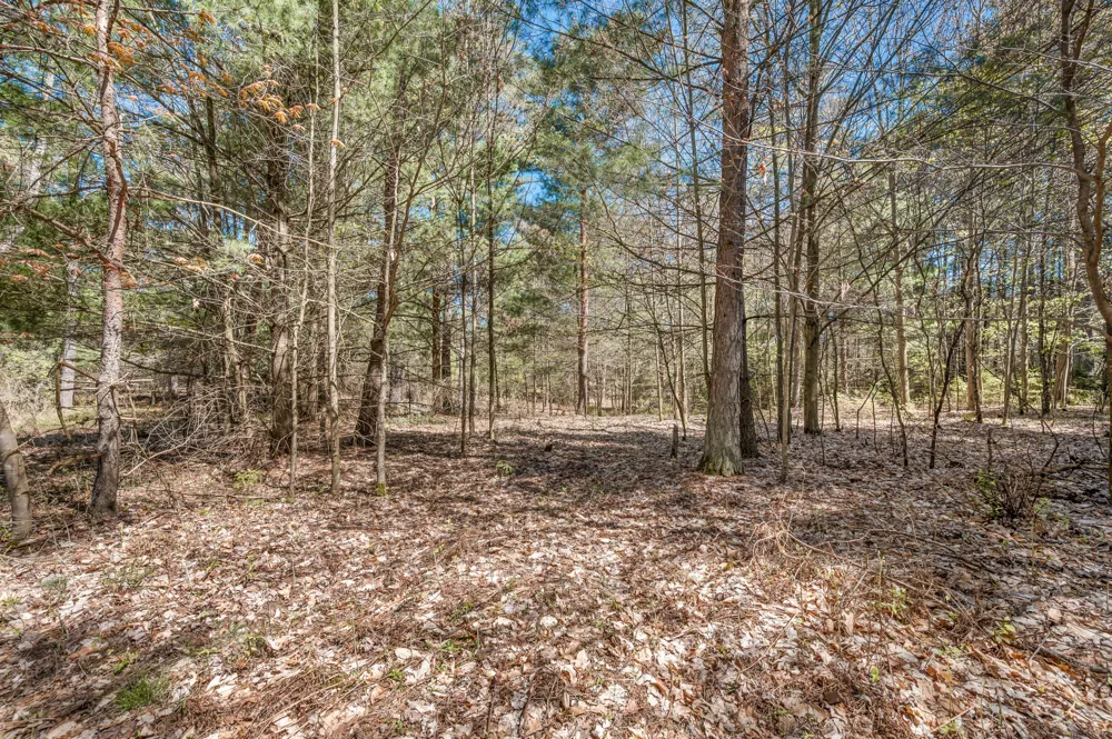 8.5 Acre V/L Three Mile Road #Parcels A-L Hersey, MI 49639