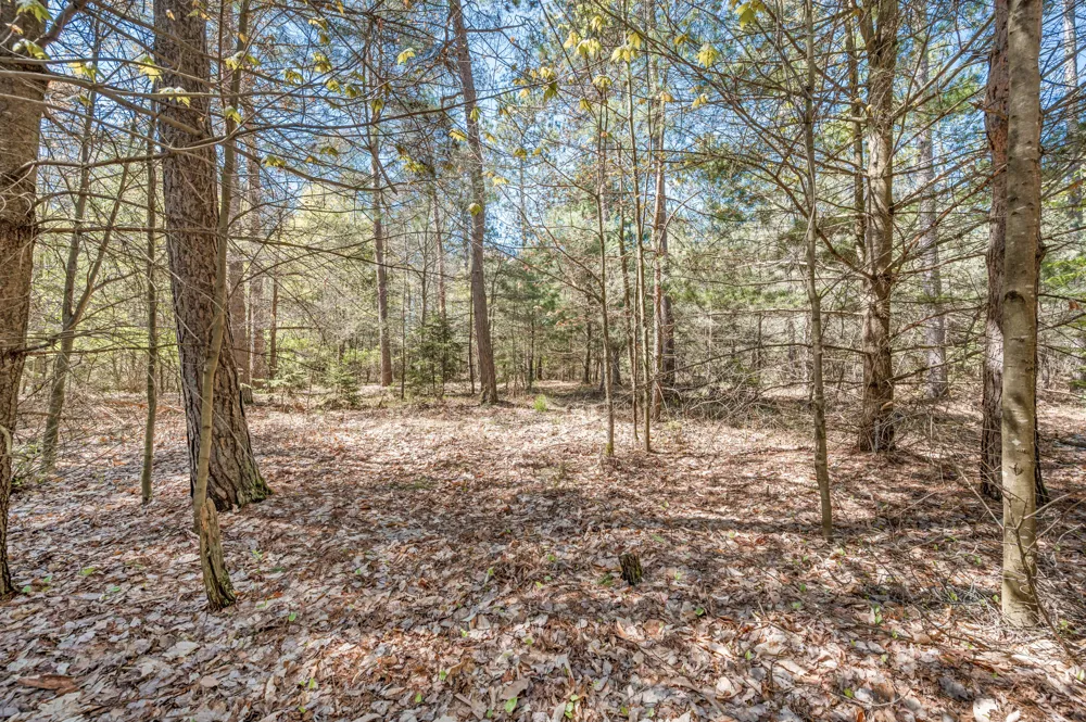 8.5 Acre V/L Three Mile Road #Parcels A-L Hersey, MI 49639