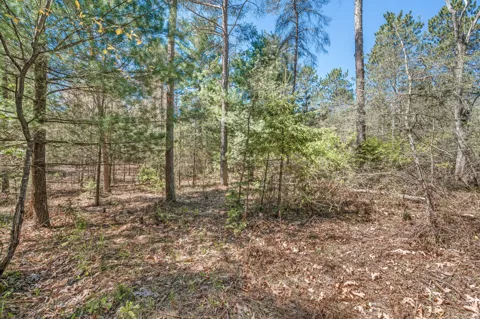 8.5 Acre V/L Three Mile Road #Parcels A-L