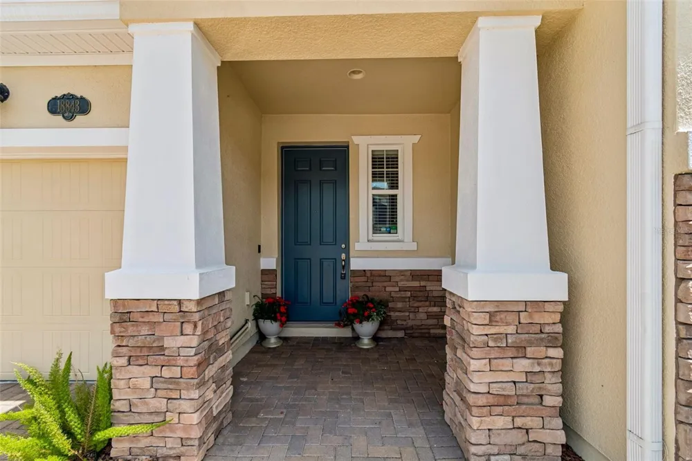 18843 ULMUS STREET Lutz, FL 33558