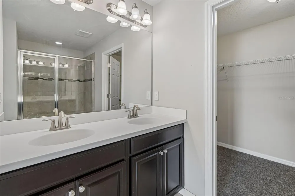 18843 ULMUS STREET Lutz, FL 33558