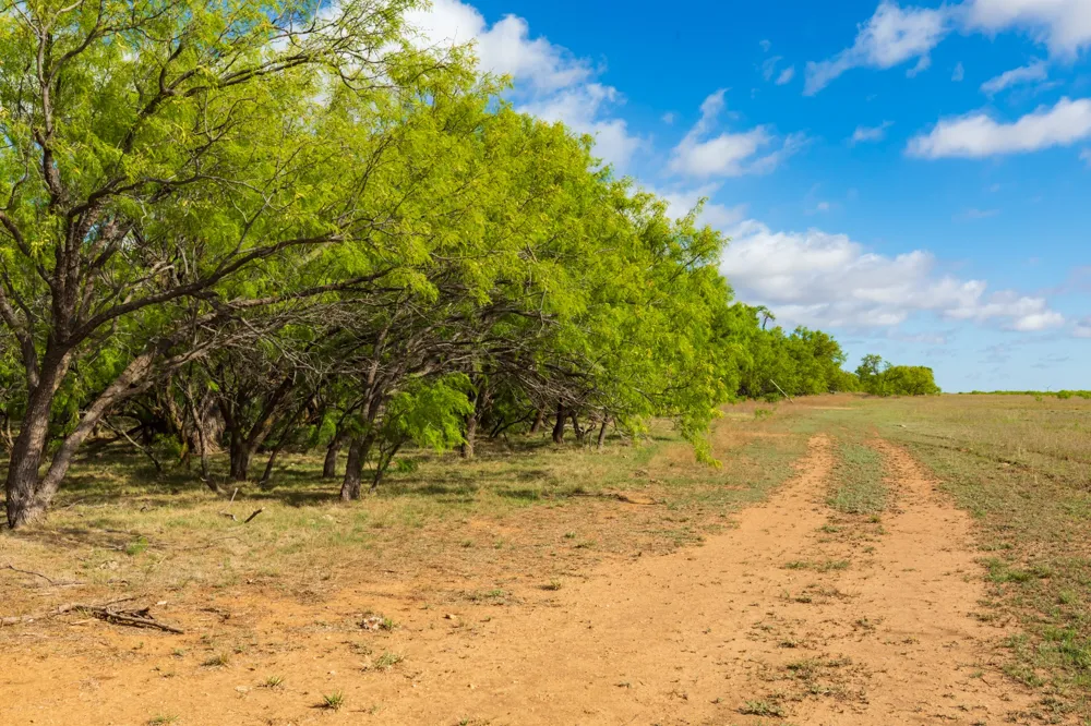 600 Fm 600 Haskell, TX 79553