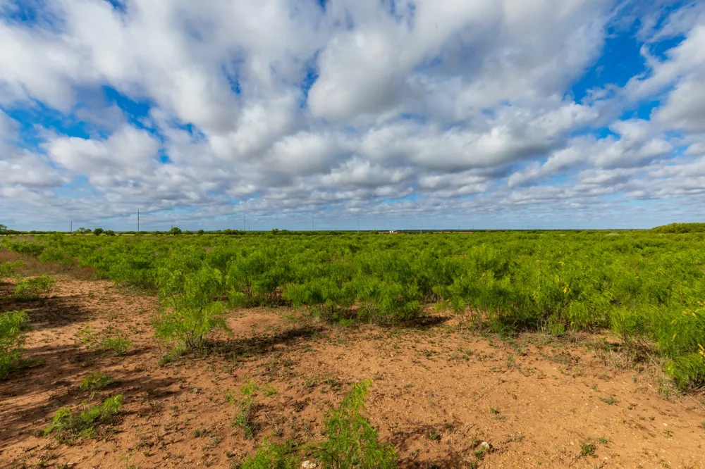 600 Fm 600 Haskell, TX 79553