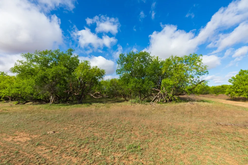 600 Fm 600 Haskell, TX 79553