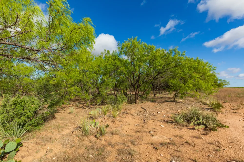 600 Fm 600 Haskell, TX 79553