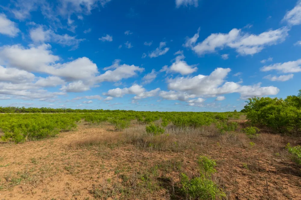 600 Fm 600 Haskell, TX 79553