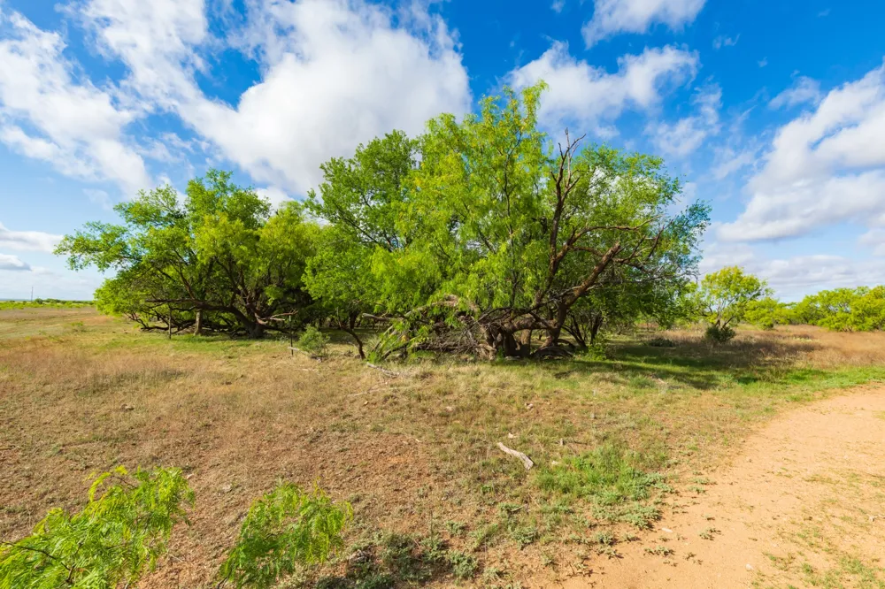 600 Fm 600 Haskell, TX 79553