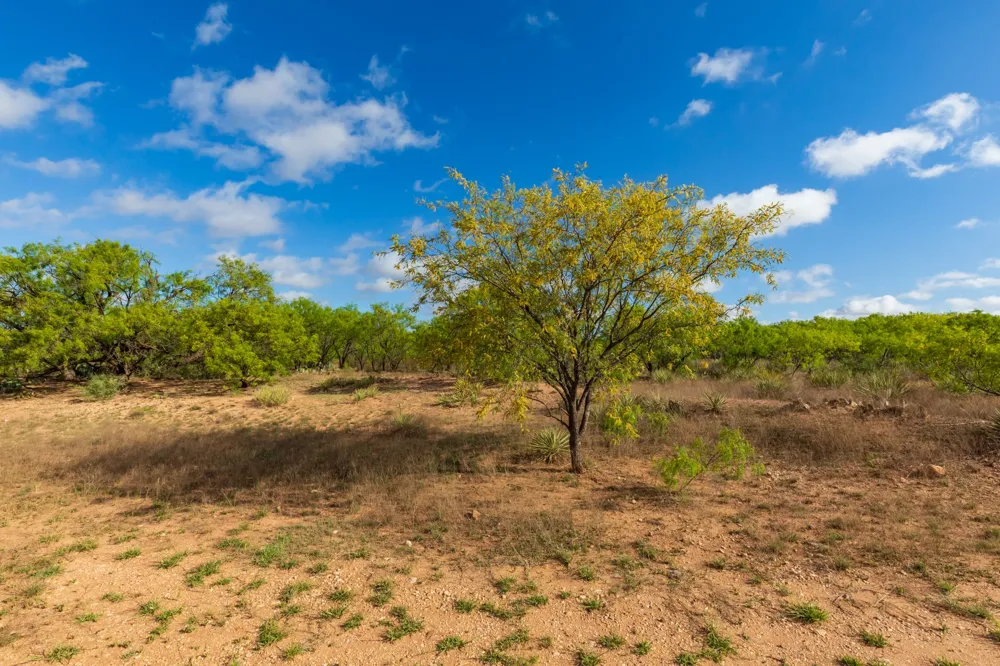 600 Fm 600 Haskell, TX 79553